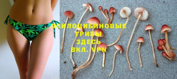 mdpv Нея