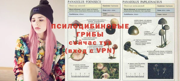 mdpv Нея