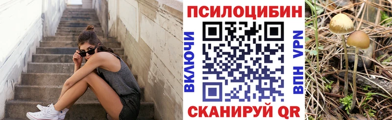 наркота  Чёрмоз  Галлюциногенные грибы MAGIC MUSHROOMS 